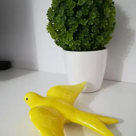 Ponte Romana 4* Silves